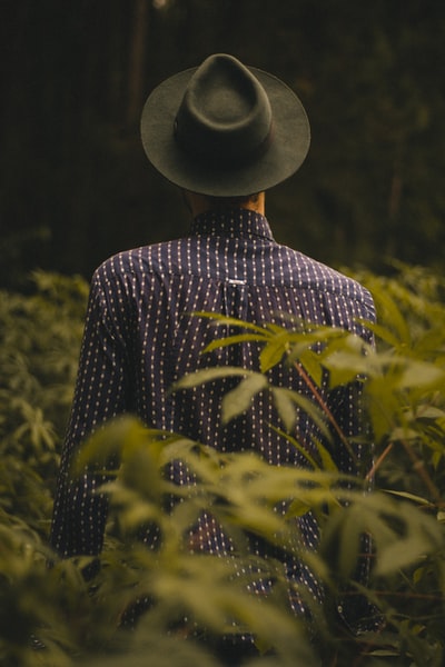 白天站在绿叶植物旁的人